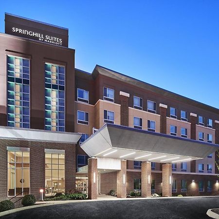 Springhill Suites By Marriott Роанок Экстерьер фото