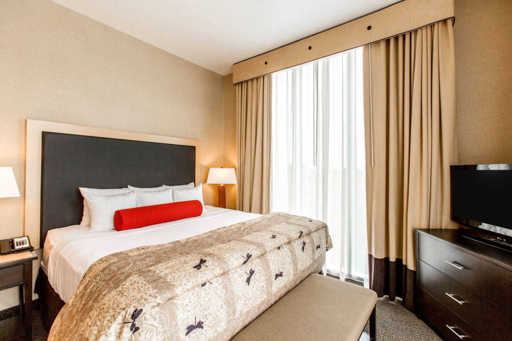 Springhill Suites By Marriott Роанок Номер фото