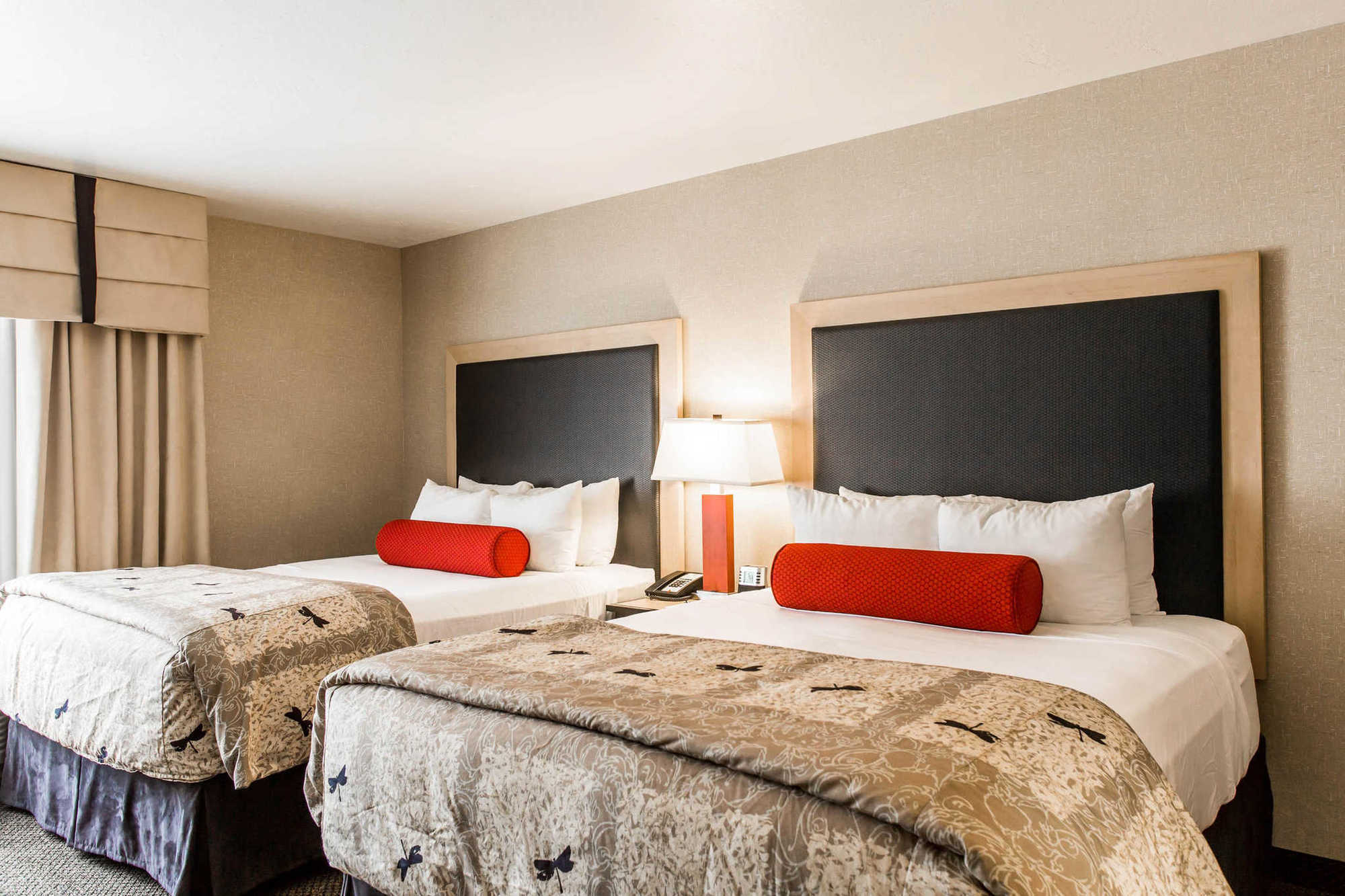 Springhill Suites By Marriott Роанок Номер фото