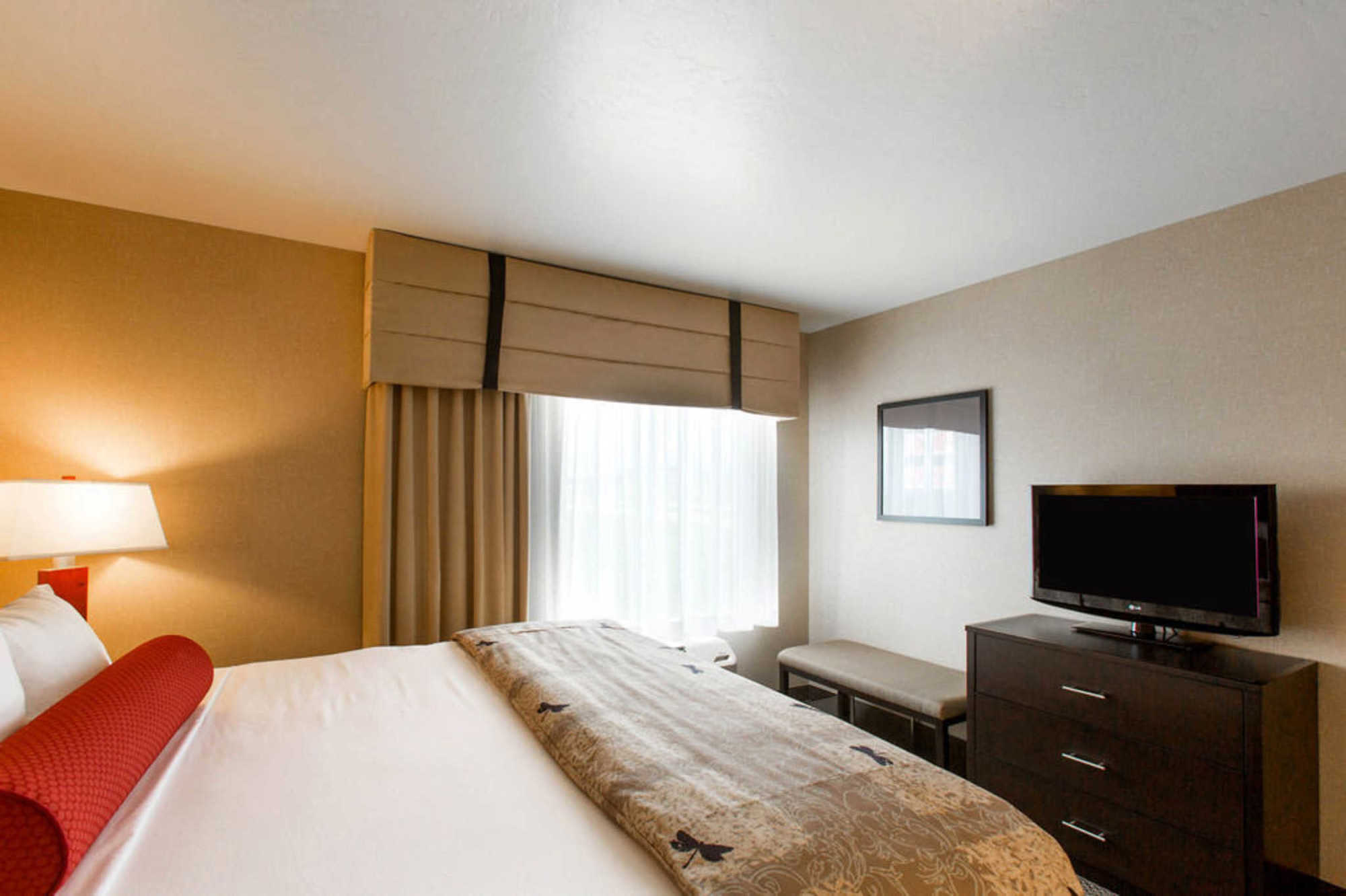 Springhill Suites By Marriott Роанок Номер фото