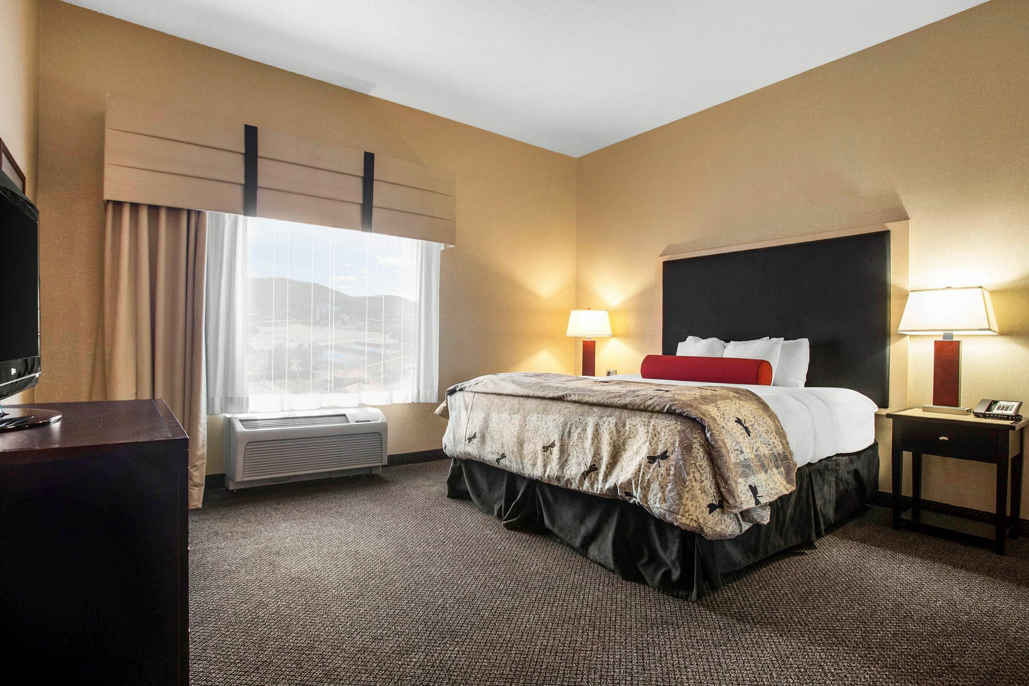 Springhill Suites By Marriott Роанок Экстерьер фото