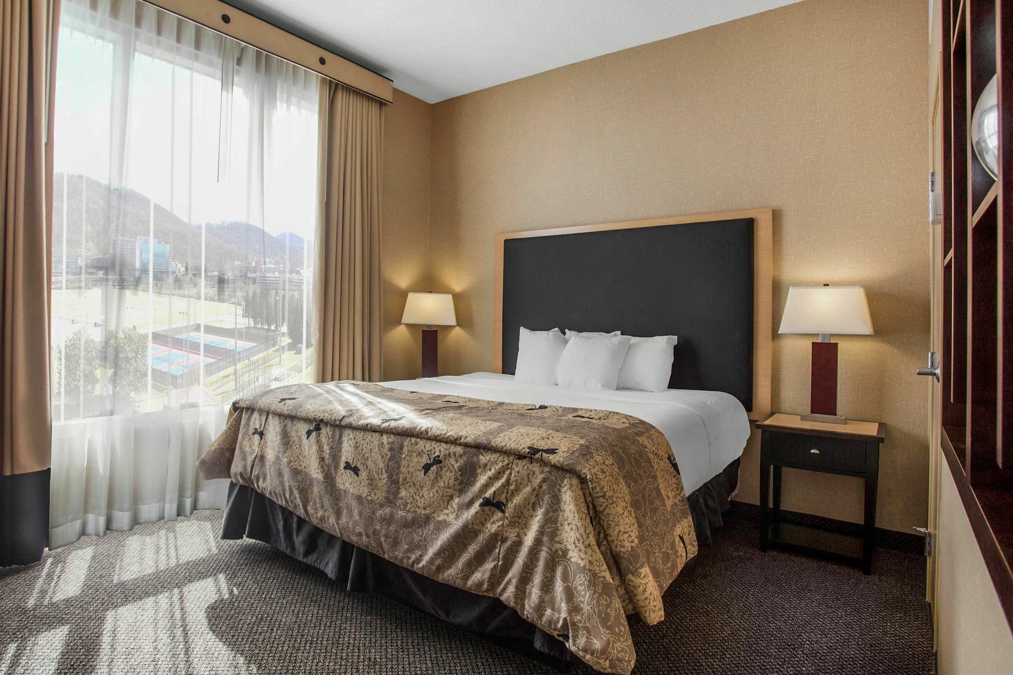 Springhill Suites By Marriott Роанок Экстерьер фото